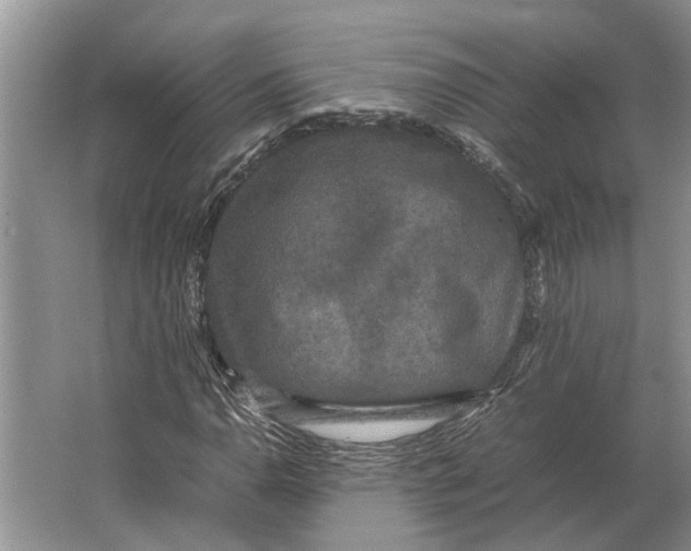 X0000064771110200603031818