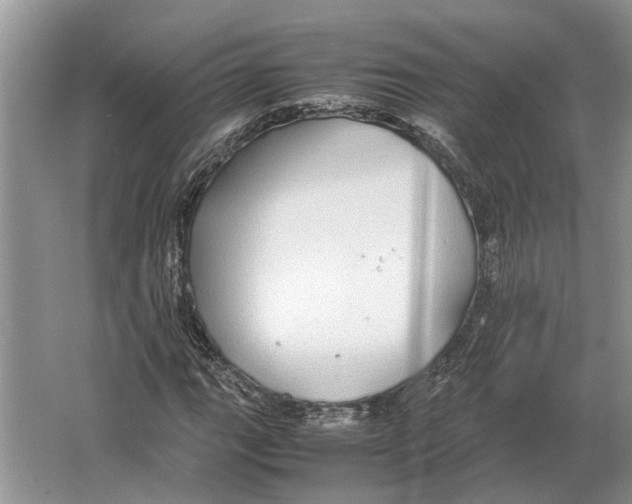 X0000064771111200603031818