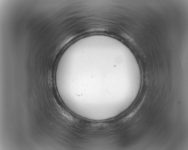 X0000064771113200603031818