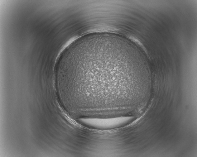 X0000064771114200603031818