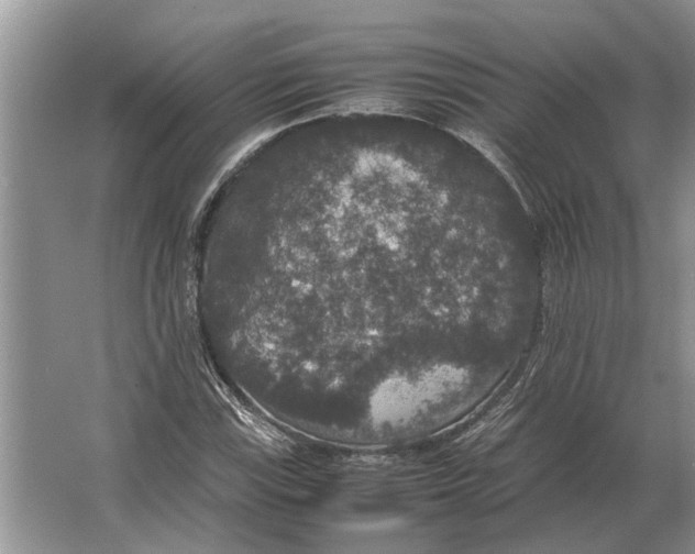 X0000064771115200603031818