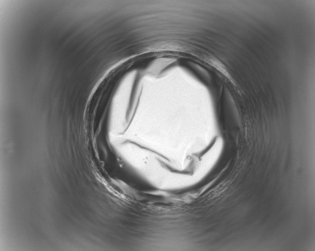 X0000064771116200603031818