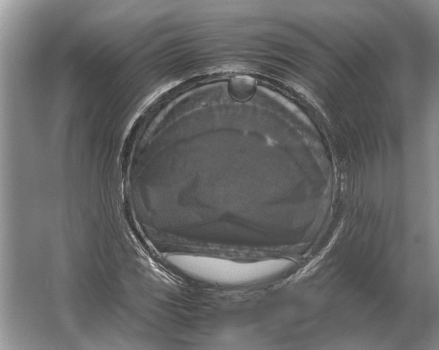 X0000064771117200603031818