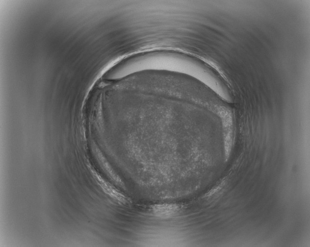 X0000064771118200603031818