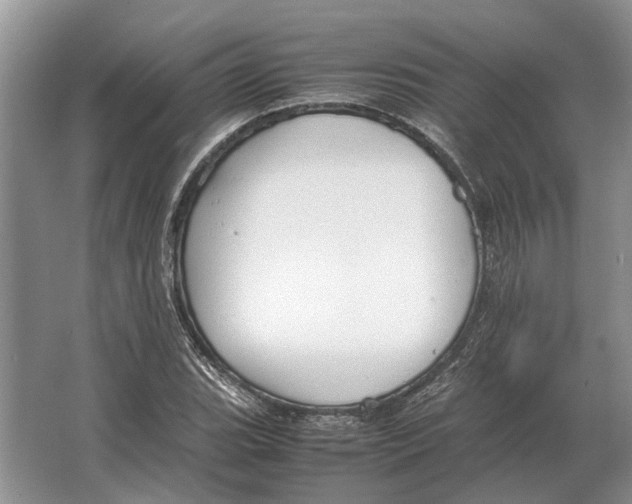 X0000064771119200603031818