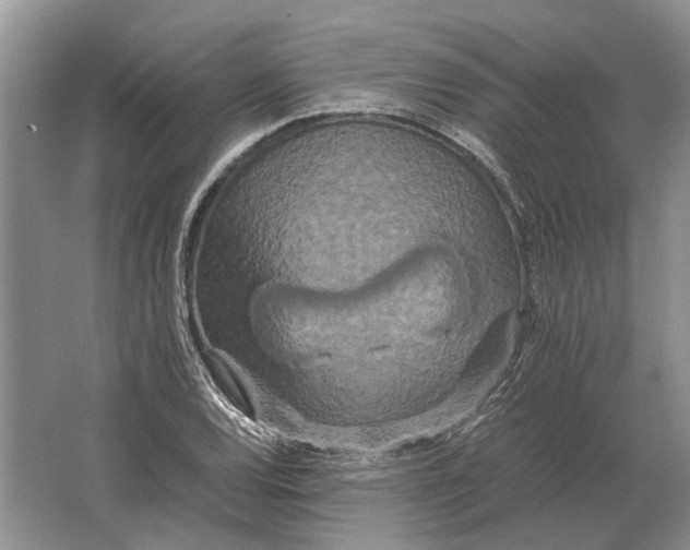 X0000064771120200603031818