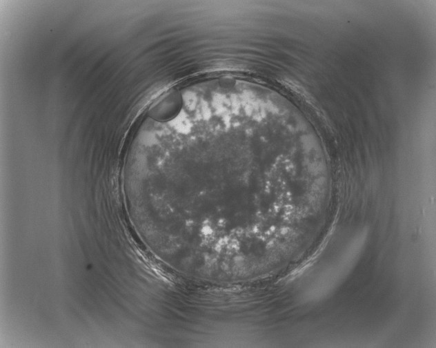 X0000064771121200603031818