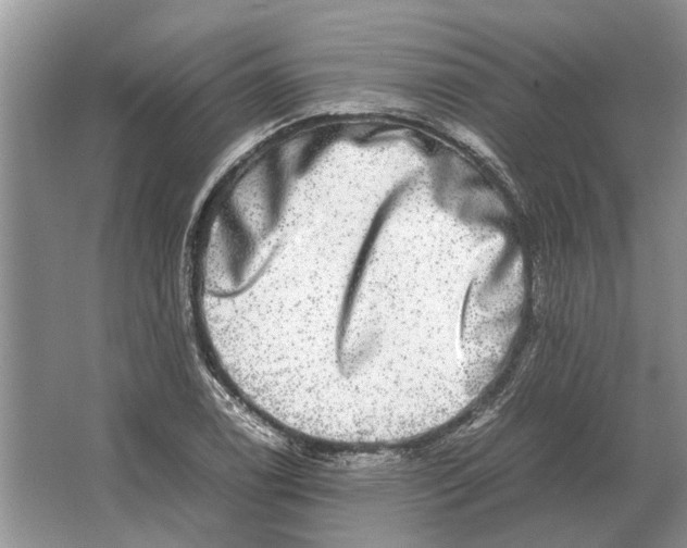 X0000064771122200603031818