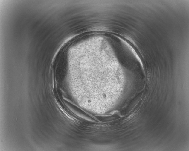 X0000064771123200603031818