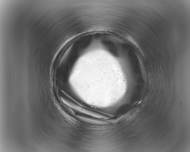 X0000064771124200603031818