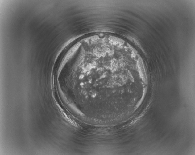 X0000064771125200603031818