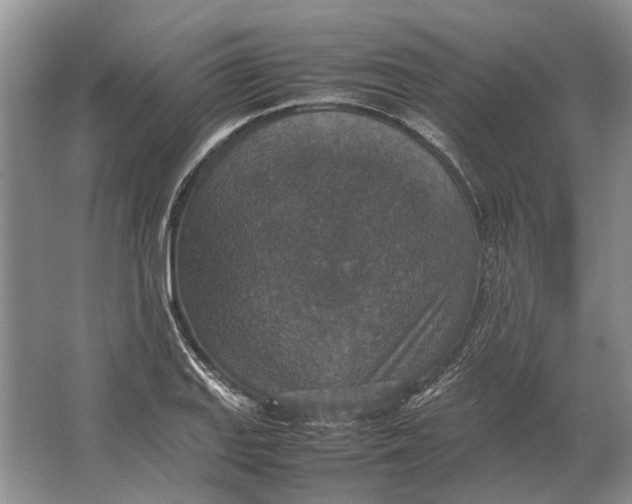 X0000064771127200603031818