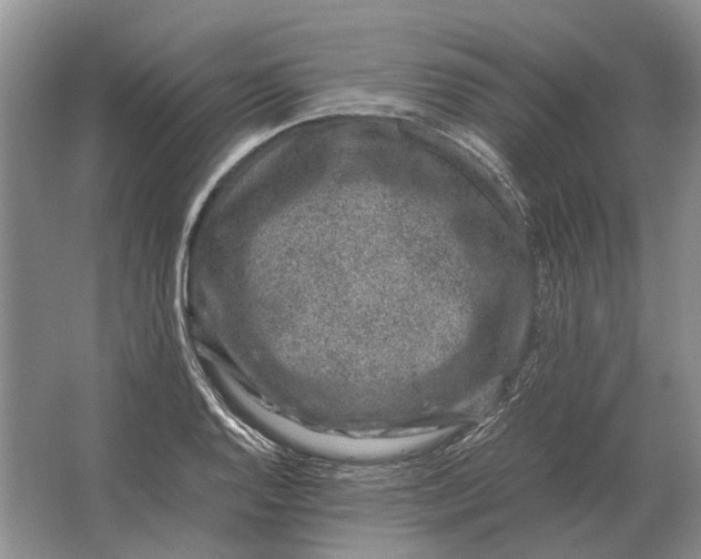 X0000064771128200603031818