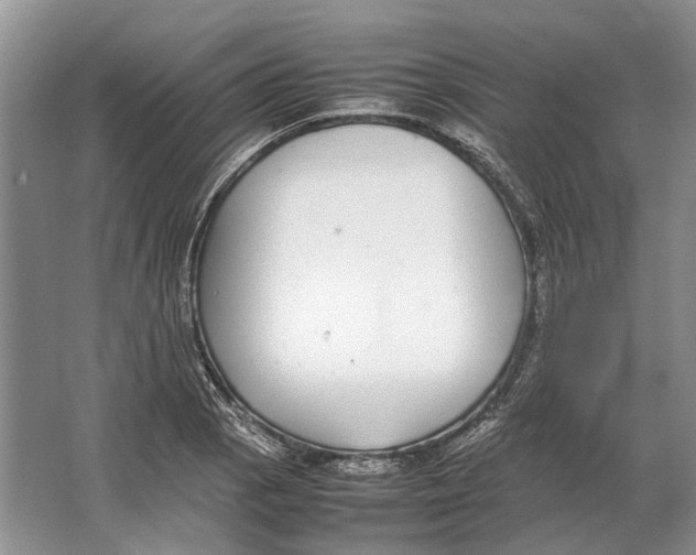 X0000064771129200603031818