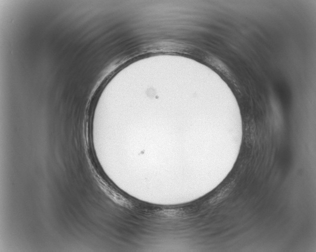 X0000064771130200603031818