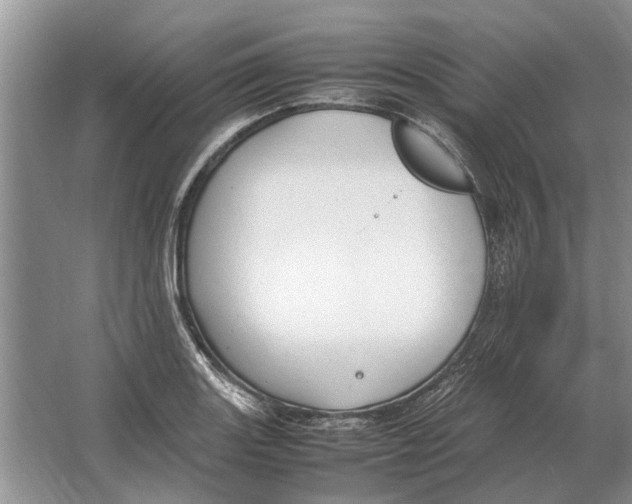 X0000064771131200603031818