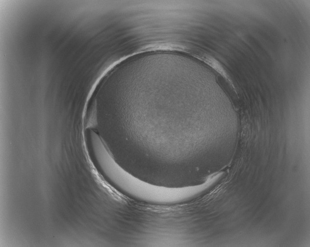 X0000064771132200603031818