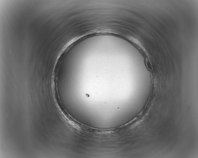 X0000064771133200603031818