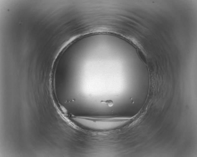 X0000064771134200603031818