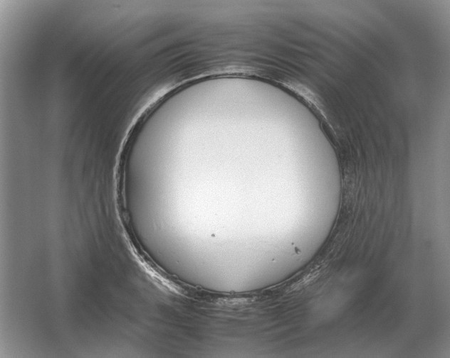 X0000064771135200603031818