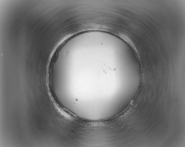 X0000064771136200603031818