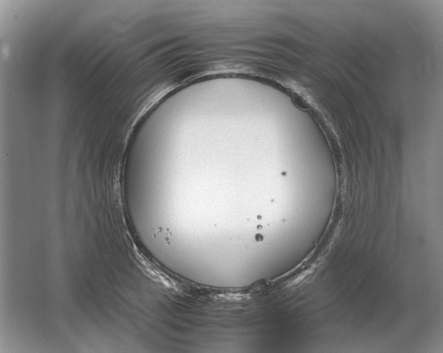 X0000064771137200603031818