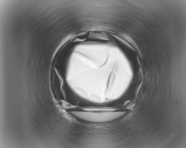 X0000064771138200603031818