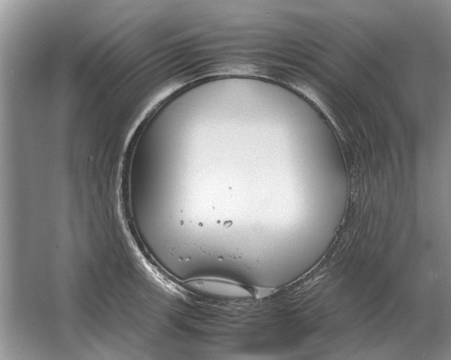 X0000064771139200603031818