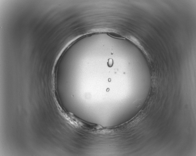 X0000064771140200603031818