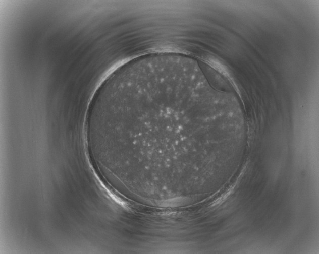 X0000064771141200603031818