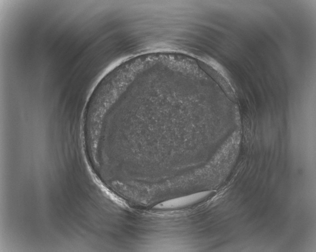 X0000064771142200603031818