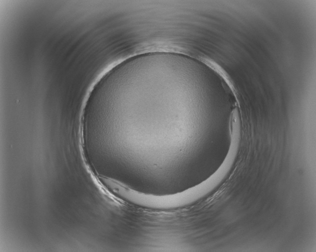 X0000064771144200603031818