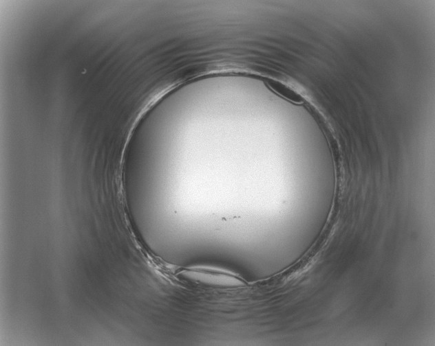 X0000064771145200603031819