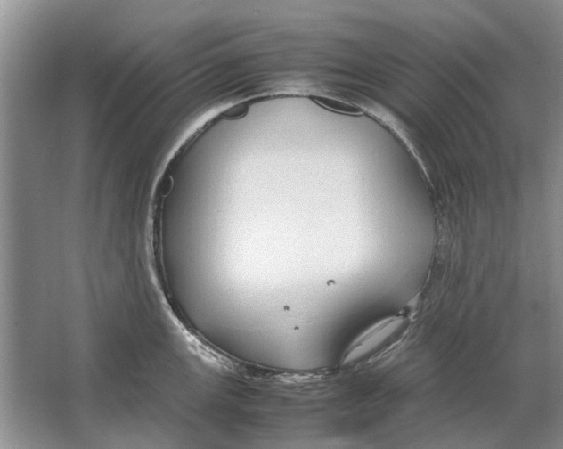 X0000064771147200603031819