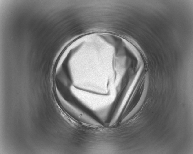 X0000064771148200603031819