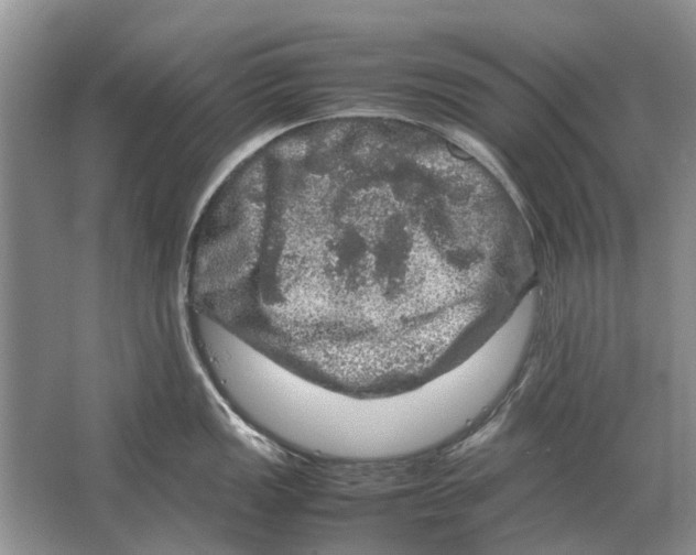 X0000064771149200603031819