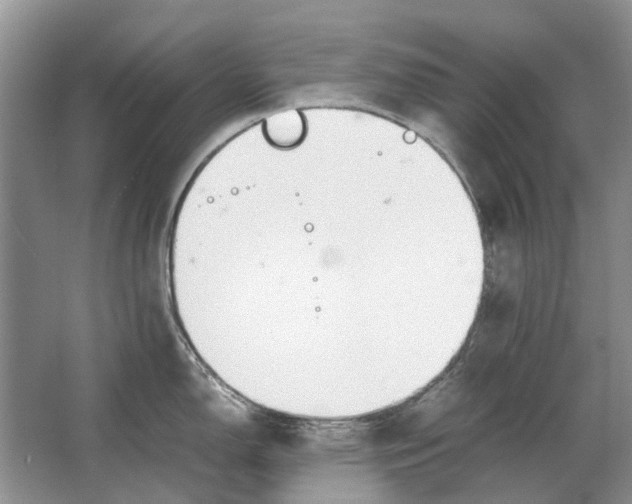 X0000064771150200603031819