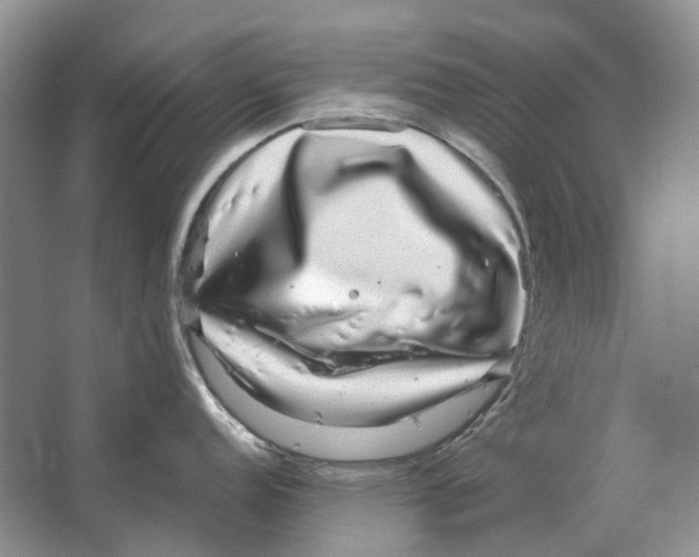 X0000064771152200603031819