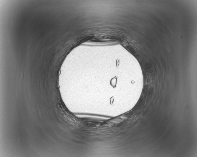 X0000064771153200603031818