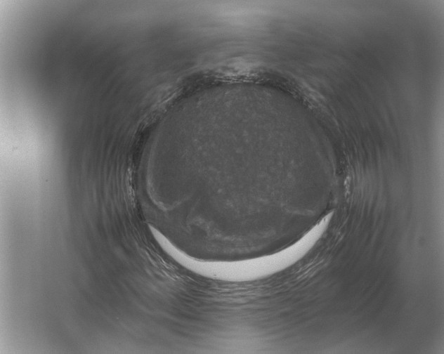 X0000064771156200603031818