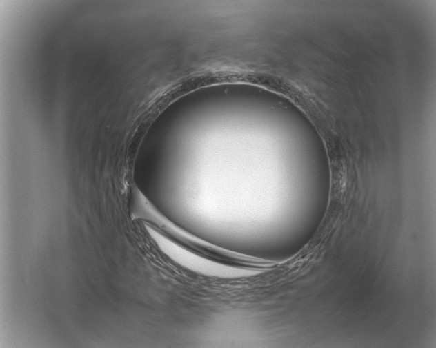 X0000064771157200603031818