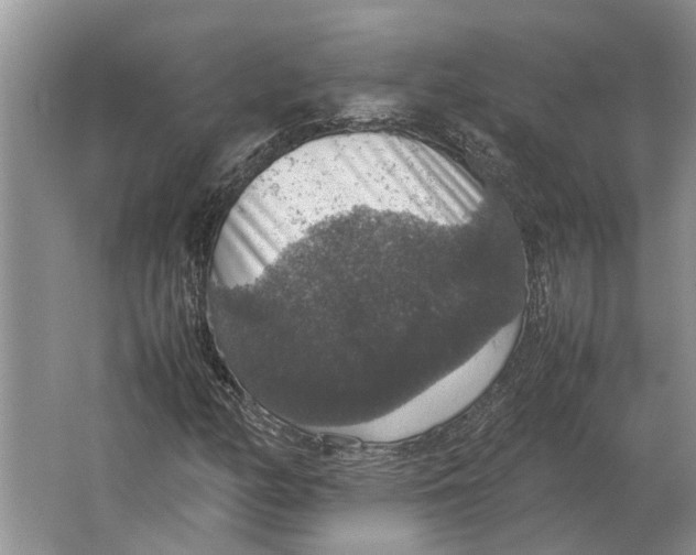 X0000064771158200603031818