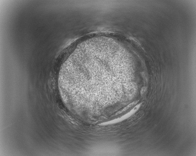 X0000064771159200603031818