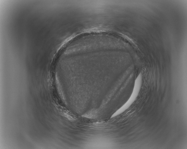 X0000064771160200603031818