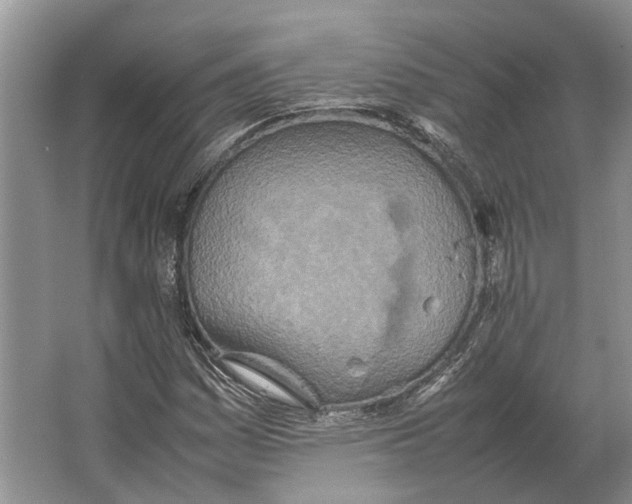 X0000064771161200603031818