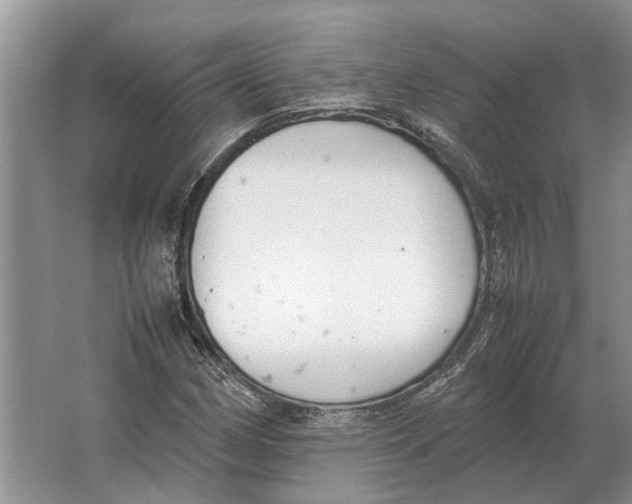 X0000064771162200603031818