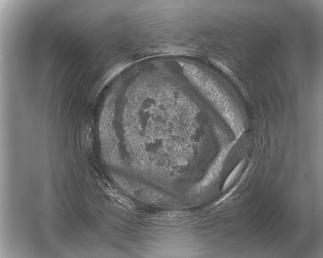 X0000064771163200603031818