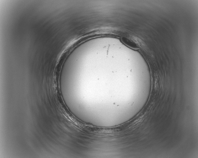 X0000064771164200603031818