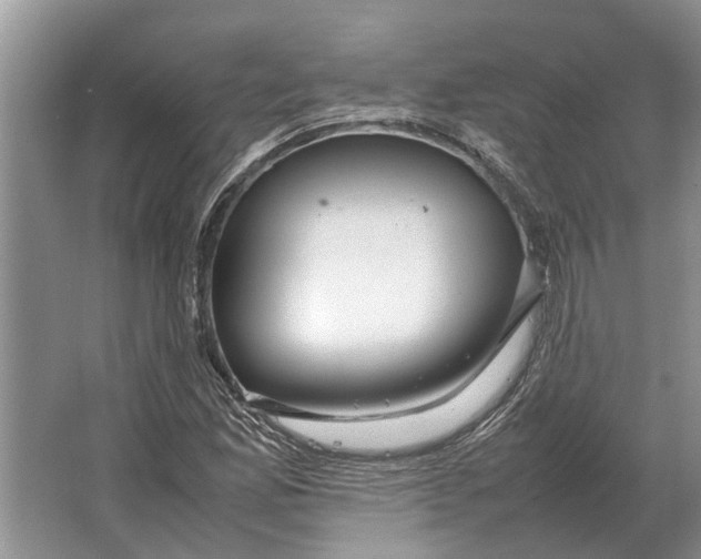 X0000064771165200603031818