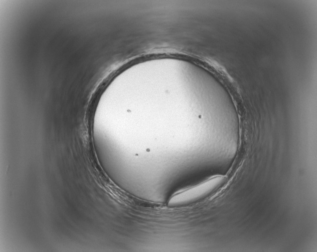 X0000064771167200603031818